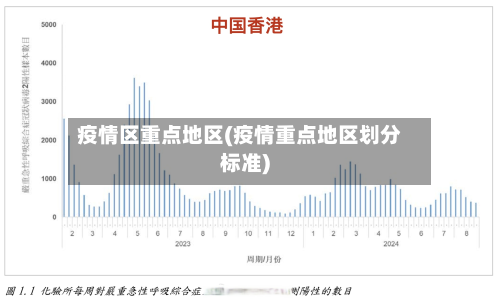 疫情区重点地区(疫情重点地区划分标准)