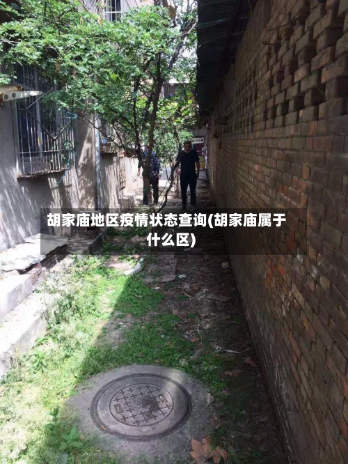 胡家庙地区疫情状态查询(胡家庙属于什么区)