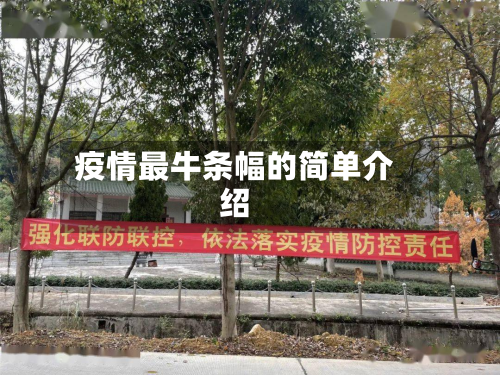 疫情最牛条幅的简单介绍-第2张图片