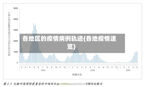 各地区的疫情病例轨迹(各地疫情速览)-第2张图片