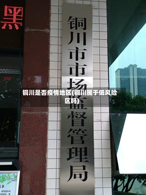 铜川是否疫情地区(铜川属于低风险区吗)-第2张图片