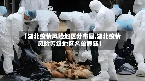 【湖北疫情风险地区分布图,湖北疫情风险等级地区名单最新】