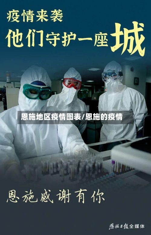 恩施地区疫情图表/恩施的疫情