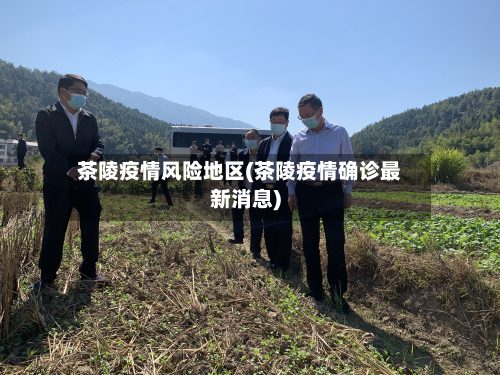 茶陵疫情风险地区(茶陵疫情确诊最新消息)
