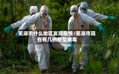 芜湖市什么地区发现疫情/芜湖市现在有几例新型病毒-第3张图片