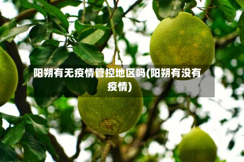 阳朔有无疫情管控地区吗(阳朔有没有疫情)-第2张图片