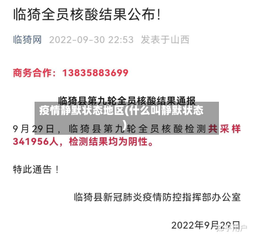 疫情静默状态地区(什么叫静默状态)