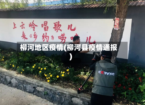 柳河地区疫情(柳河县疫情通报)-第2张图片